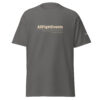 AllFightEvents Offical T-Shirt